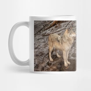 Grey Wolf Mug